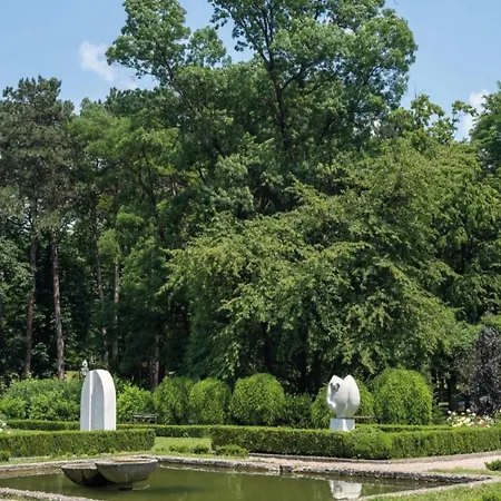 Krejovic 阿然德洛维克