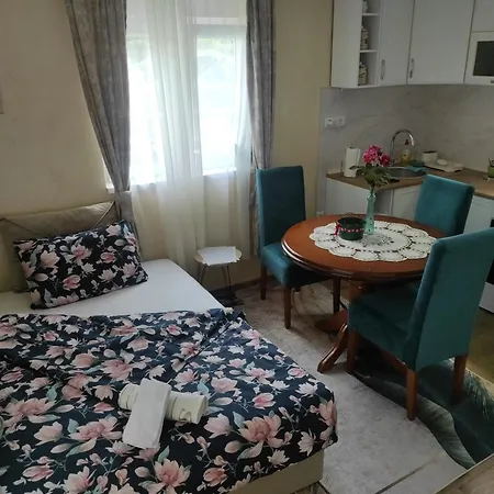 Krejovic 阿然德洛维克